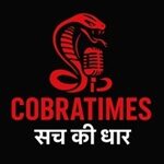 cobratimes.com